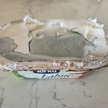 Torku Labne Peynirinde Küf Problemi Ve Sağlık Endişesi