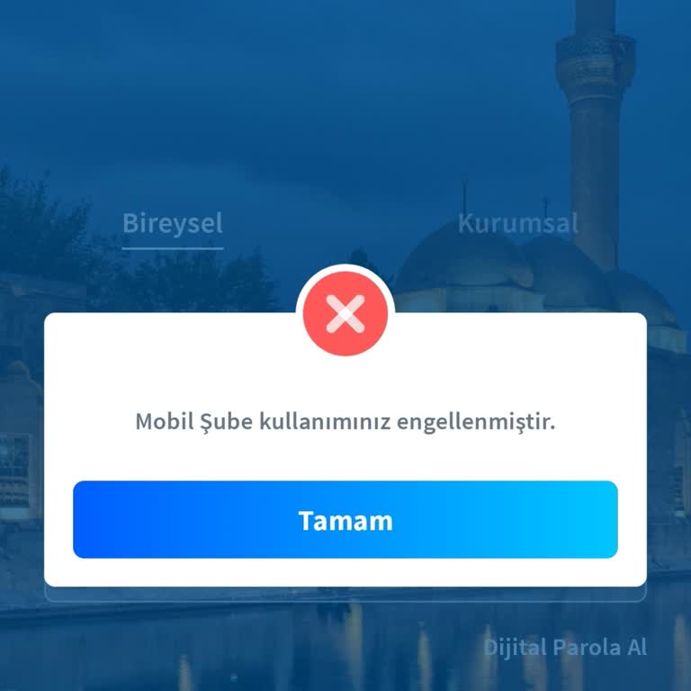Kredi Kartı Yapılandırmasına Rağmen Halkbank Dijital Şube Erişimi Kapalı