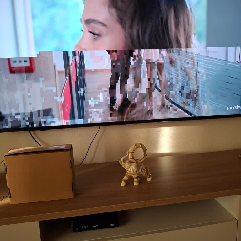 Kablo TV'de Donma Ve Sinyal Kesintisi, Adaptör Ve Kutu Değişimine Rağmen Çözülmedi