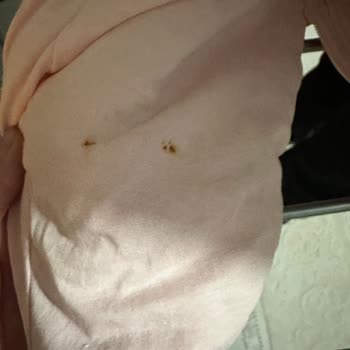 Paslanan Bebek Çamaşır Kurutmalığı İçin Ücret İadesi Talebi