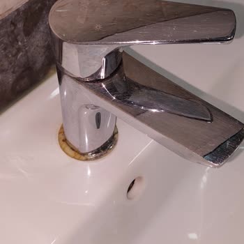 ECA Lavabo Bataryalarında Plastik Rozet Sorunu Ve Çözüm Talebi