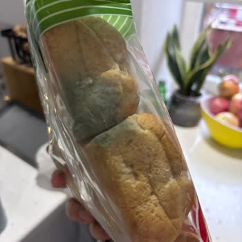 Migros Sanal Market’ten Süresi Geçmiş Ve Küflü Ekmek Teslimatı
