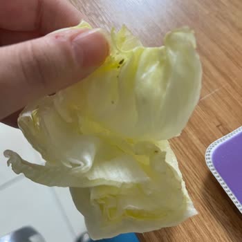 Marulda Böcek Tespiti Nedeniyle Çiğköfte Siparişinde Hijyen İhlali