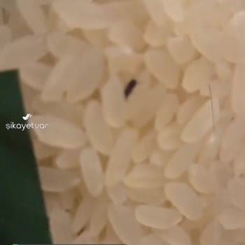 BİM Mağazasından Aldığım Pirinç Böcekli Çıktı