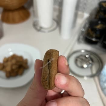 Hammm Bisküvilerinde Yabancı Madde, Hijyen Endişesi, İade Talebi
