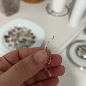 Hammm Bisküvilerinde Yabancı Madde, Hijyen Endişesi, İade Talebi