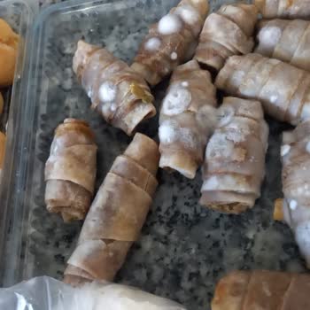 U*** D**** Dondurucuda Tekrarlayan Buzlanma Ve Soğutmama Arızası, Gıda Bozulması Ve Garanti Sonrası Ücretli Onarım Talebi