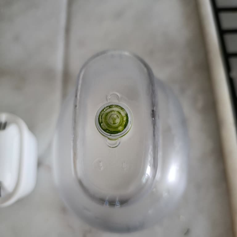 Brita Aluna Sürahimde Yosunlaşma Ve Cevapsız Şikayet