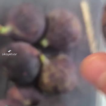 Migros Online Market Alışverişi
