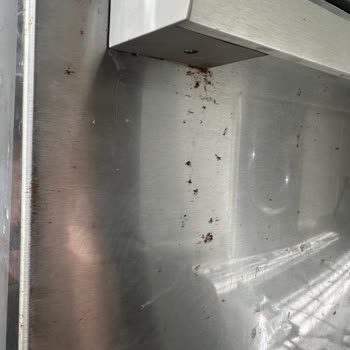 Bosch Buzdolabının Paslanmaz Çelik Kapakları Hızla Paslanıyor Ve 26.000 TL Ücret Talep Ediliyor