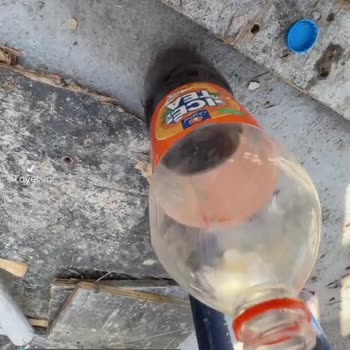 Lipton İce Tea Ayıptır Baba Değmez Böyle Pis Şeyler Yapmaya