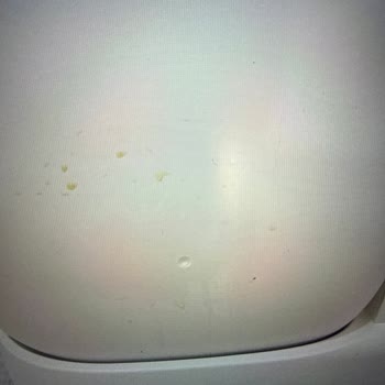 Xenon Smart Otomatik Kedi Tuvaleti Tasarım Hatası Nedeniyle Sızıntı Ve Garanti Reddi
