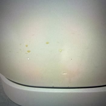 Xenon Smart Otomatik Kedi Tuvaleti Tasarım Hatası Nedeniyle Sızıntı Ve Garanti Reddi