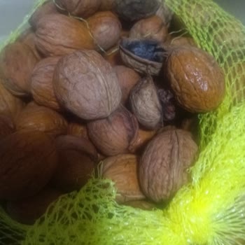 Aşırı Islak Ve Küflü Cevizler İçin Hızlı İade Talebi