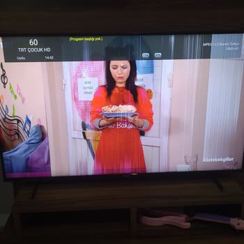 Vestel TV’de Panel Arızası Ve Garanti Dışı Yüksek Tamir Ücreti