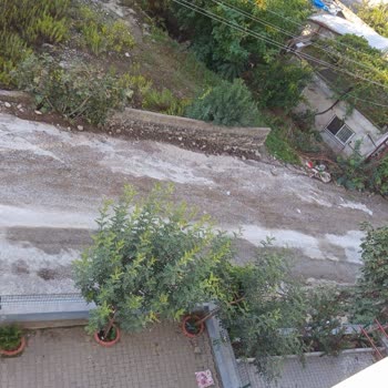 Düziçi Adanalı Sokak Yolunun Tehlikeli Durumu Ve Asfaltlanması İçin Acil Talep