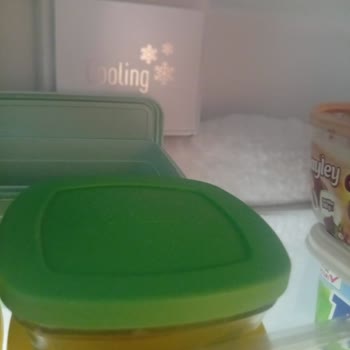Altus Buzdolabında Sürekli Karlanma Ve Servis Çözüm Eksikliği