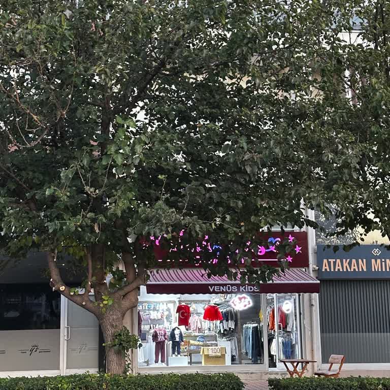 Altınkale Mahallesi Atatürk Caddesi'ndeki Ağaçlar Venüs Kids Mağazasının Görünürlüğünü Engelliyor