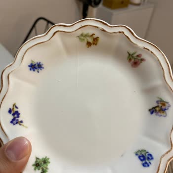 Kırık Tabaklar Ve Eksik Puan İadesi