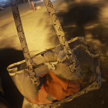 Asya Lahmacun Meram Şubesinde Köpekli Müşteriye Kötü Muamele
