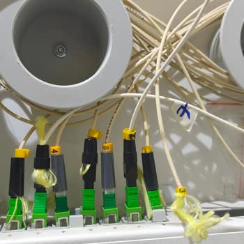 TÜRKSAT'ta Aktif Fiber Portum Başkasına Verildiği İçin İnternetsiz Bırakıldım