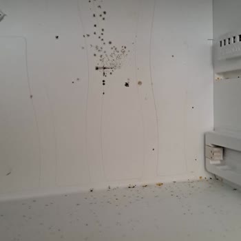 Beko Buzdolabım Sürekli Arızalanıyor Ve Garanti Kapsamı Reddediliyor