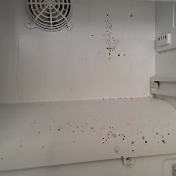 Beko Buzdolabım Sürekli Arızalanıyor Ve Garanti Kapsamı Reddediliyor