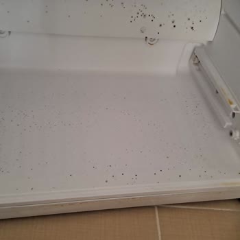 Beko Buzdolabım Sürekli Arızalanıyor Ve Garanti Kapsamı Reddediliyor