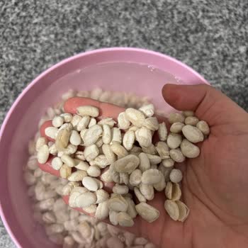 Snowy Market'ten Alınan Hasata Kuru Fasulyesinin Suda Dağılması Ve Kalite Sorunu