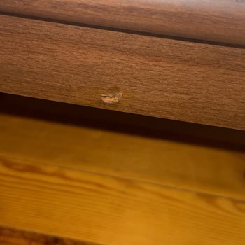 Ziran Koltuk Takımında Hasarlı Parça Değişimi Ve Düşük Sünger Kalitesi İçin Çözüm Talebi