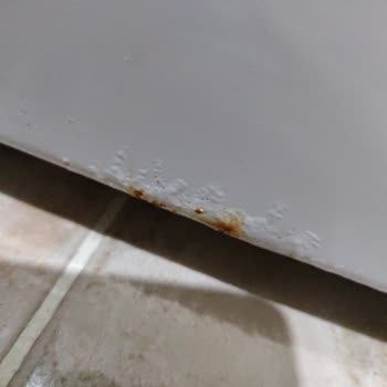 Arçelik Çamaşır Makinesinde Erken Pas Ve Boya Kabarması, Garanti Dışı Ücret Talebi