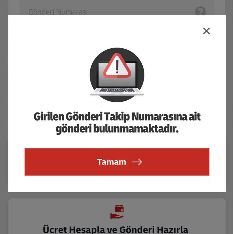 DHL Takip Numarası Çalışmıyor Ve Toyzz Shop Müşteri Hizmetleri Yanıt Vermiyor