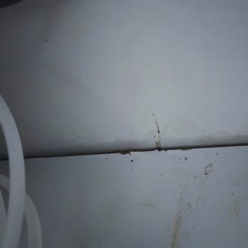 Vestel Servisinin Üst Tabla Değişimi Sırasında Su Sızıntısı Mutfak Dolabımı Şişirdi