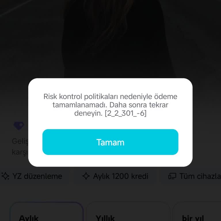 Capcut Pro Üyeliği Satın Alınamıyor Risk Kontrolünden Gelen Hata