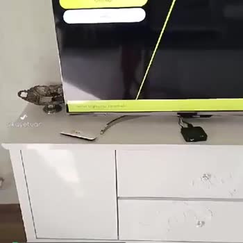 Turkcell TV+ Yayın Problemi