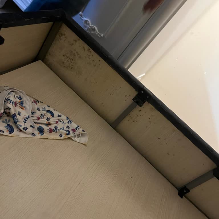 Kilim Mobilya’da Baza Değişiminde Sürekli Kusurlu Ürün Ve Fiyat Farkı Sorunu