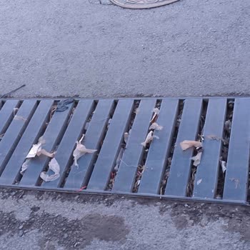 Karabağlar'da Mazgal Tıkanıklığı Sık Sık Sel Ve Rutubet Sorunu Yaratıyor