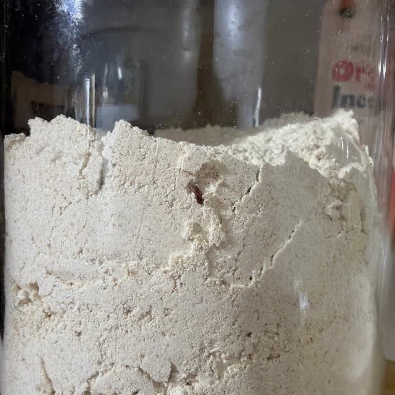 Ebebek Hammm Yulaf Ununda Hijyen Sorunu Ve Böcek Görüldü