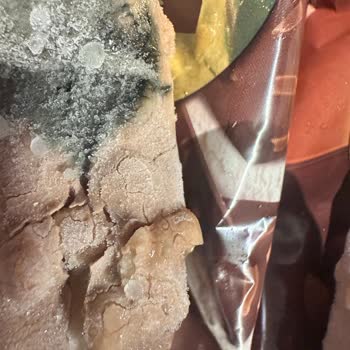 Magnum Mini Dondurmasında Mavi Küf Tespit Edildi Gıda Güvenliği Skandalı