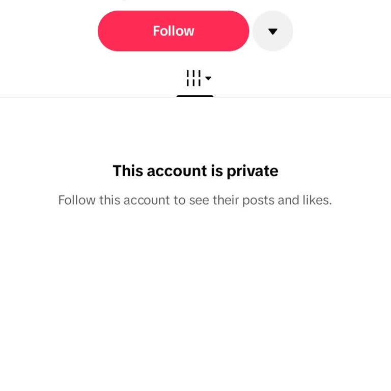 TikTok Account Recovery: Lost Phone Number and Forgotten Password