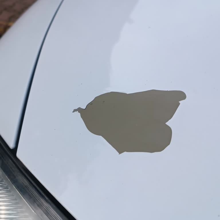 Opel Astra Kaput Boya Sorunu Ve Üretim Hatası İçin Masrafların Karşılanması Talebi