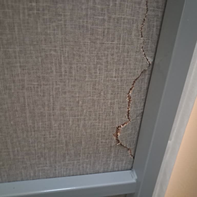 Yataş Enza Home'da Kırık Baza Parçası Ve Cevapsız Müşteri Şikayeti