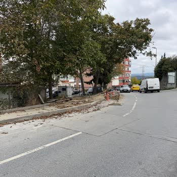 Beşiktaş'ta Kazılmış Yol Ve Açık Kablolar Nedeniyle Trafik Ve Otopark Sorunu