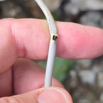 Kartepe Mahallesinde Düzensiz Elektrik Ve İnternet Kabloları Çocuk Güvenliğini Tehlikeye Atıyor