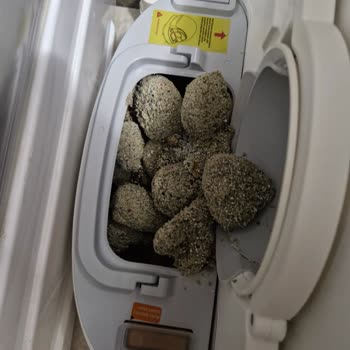 Zenon Otomatik Kedi Tuvaletinde Bildirim Ve Doluluk Uyarısı Sorunu