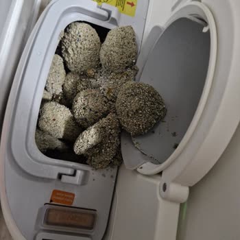 Zenon Otomatik Kedi Tuvaletinde Bildirim Ve Doluluk Uyarısı Sorunu