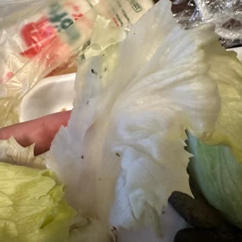 Migros Hemen'de Çiğ Köfte Ve Ayranda Hijyen İhlali, Tam İade Talebi