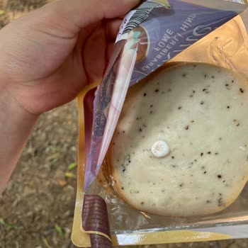 Kapalı Paketteki Hindi Fümede Beyaz Küf Sağlık Endişesi Ve Değişim Talebi