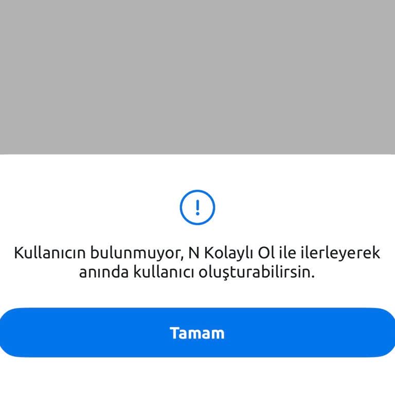 Kolay Aktif Bank Mobil Uygulamasına Giriş Sorunu Ve Maddi Mağduriyet