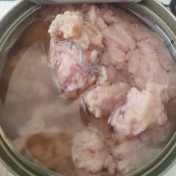 Superfresh Ton Konservesinde Metal Parça Tespiti Ve Güvenlik Endişesi